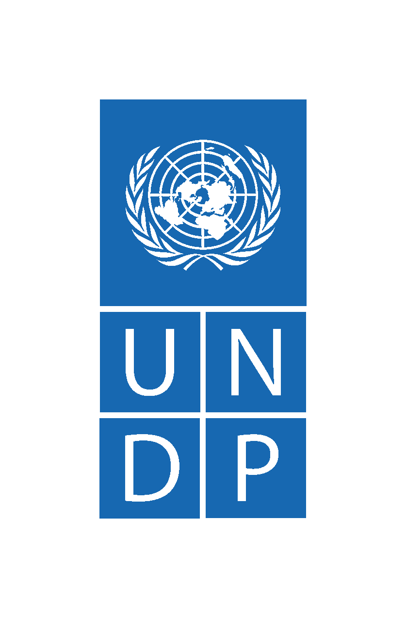 UNDP